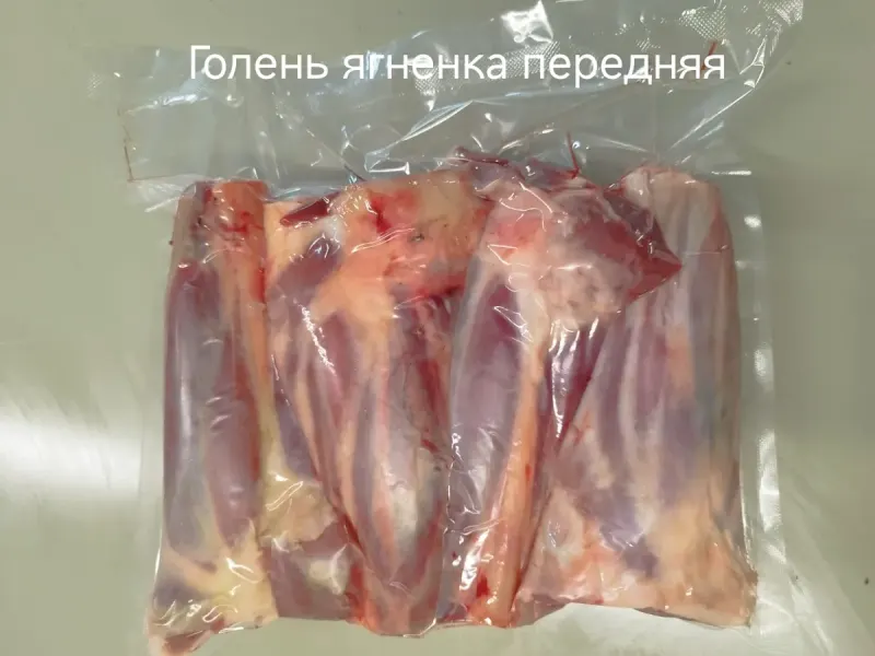 Голень передняя — фото с производства ЛАНЭК ХАЛЯЛЬ